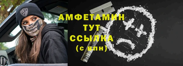 mdpv Богородицк
